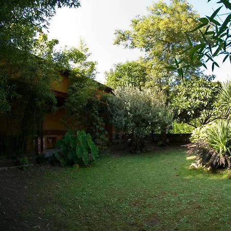 Playa De Vega